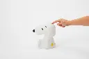 aydinlatma-snoopy-first-light-87cd.webp