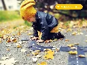 stem-egitici-setler-waytoplay-king-of--131162.webp