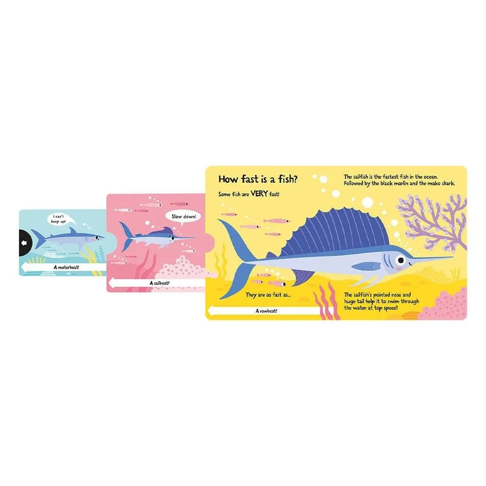 how-wide-is-a-whale-board-book-cocuk-k-229bda.webp