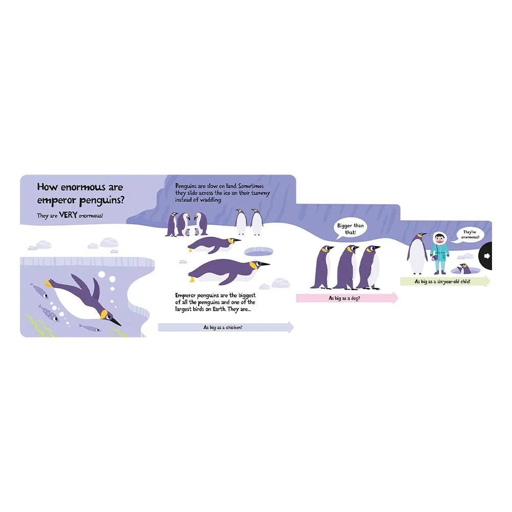 how-wide-is-a-whale-board-book-cocuk-k-8ac-43.webp
