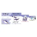 how-wide-is-a-whale-board-book-cocuk-k-8ac-43.webp