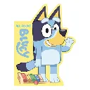 bluey-all-about-bluey-cocuk-kitaplari--a0cea8.webp