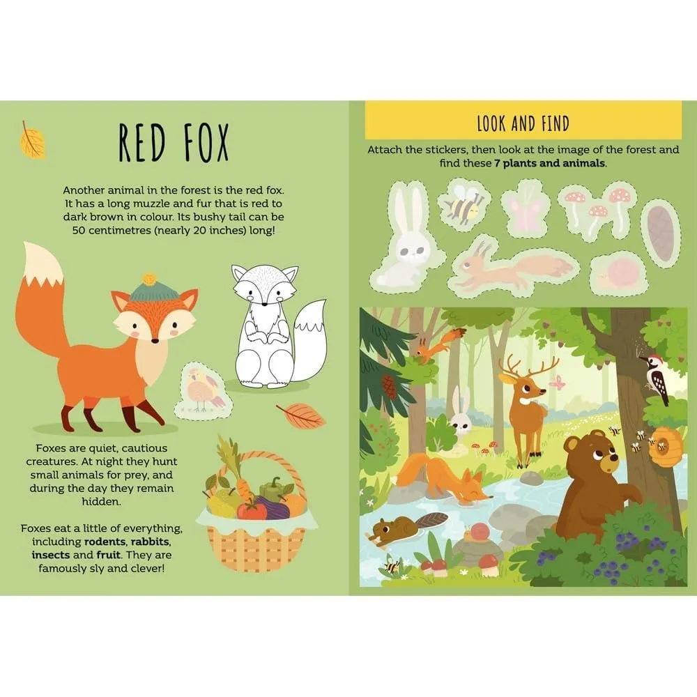 the-forest-sticker-and-activities-cocu-f5311e.webp