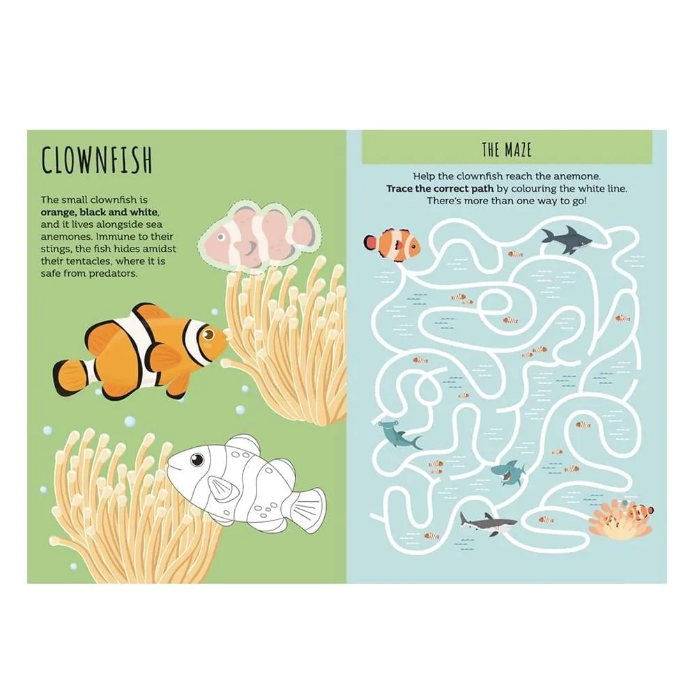 the-sea-sticker-and-activities-cocuk-k-3b2f-a.webp