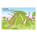 555-sticker-fun-dragons-cocuk-kitaplar-7-b99d.webp