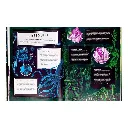 glow-the-wild-wonders-of-bioluminescen-44b3-9.webp