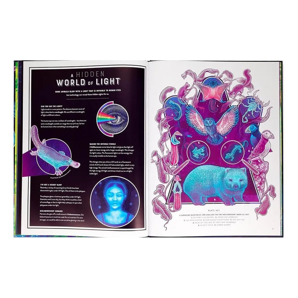 glow-the-wild-wonders-of-bioluminescen-e33409.webp