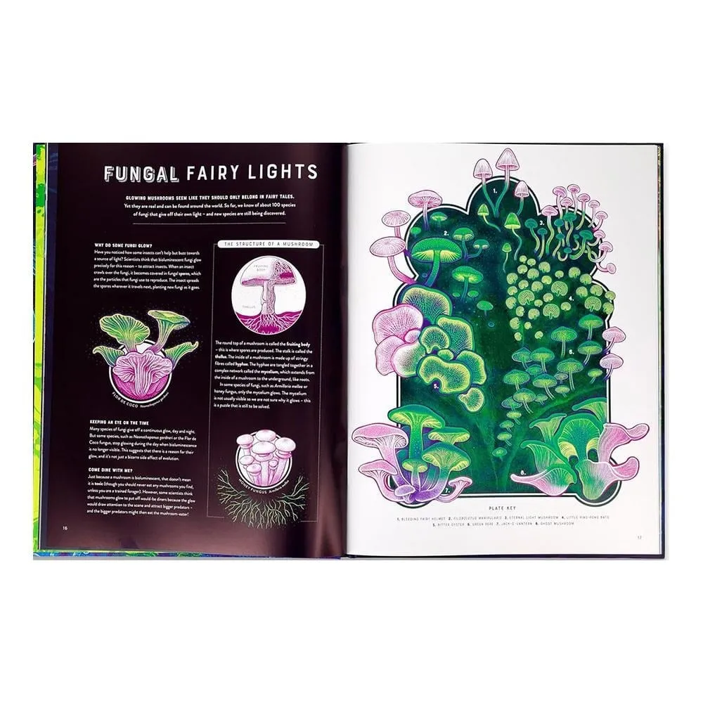glow-the-wild-wonders-of-bioluminescen-241c-6.webp