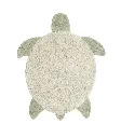 hali-sea-turtle-lorena-canals-8bc55d-875x1000.webp
