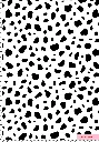 LNM_708_Dalmatian.webp