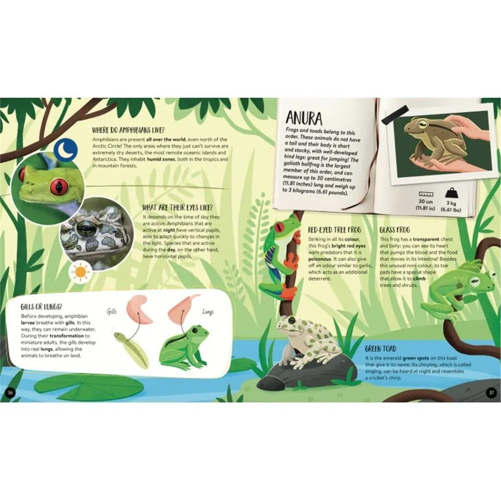 animals-the-ultimate-atlas-new-edition-5-47b3.webp