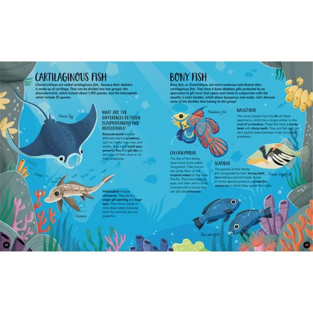 animals-the-ultimate-atlas-new-edition-ec69-e.webp