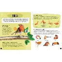 animals-the-ultimate-atlas-new-edition-5-a5e4.webp