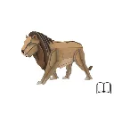 animals-the-ultimate-atlas-new-edition-0-9ea4.webp