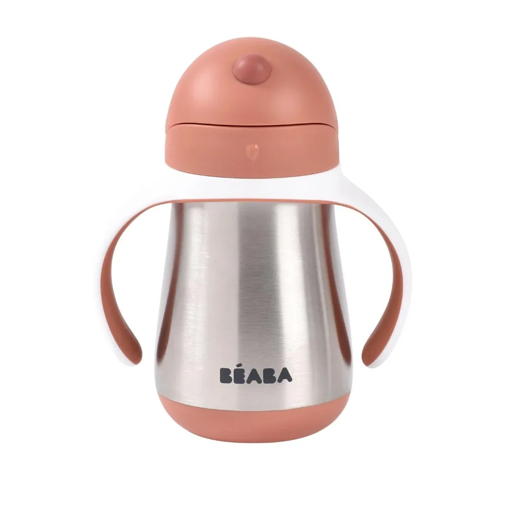 [913587] Beaba 250 ml Çelik Pipetli Suluk